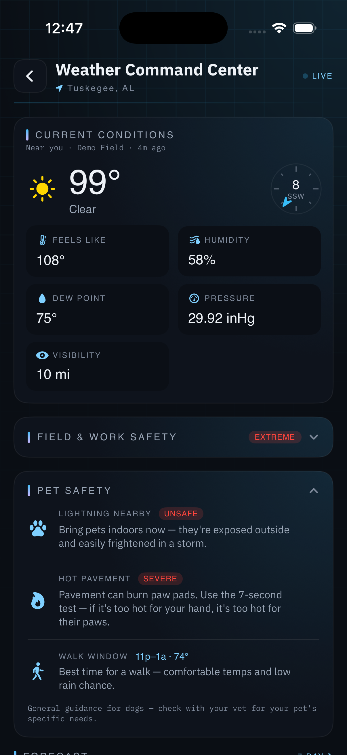 Pet Safety: a Safe / Caution / Unsafe verdict from heat, cold and lightning, a hot-pavement paw-burn warning, and the best window to walk from the forecast.